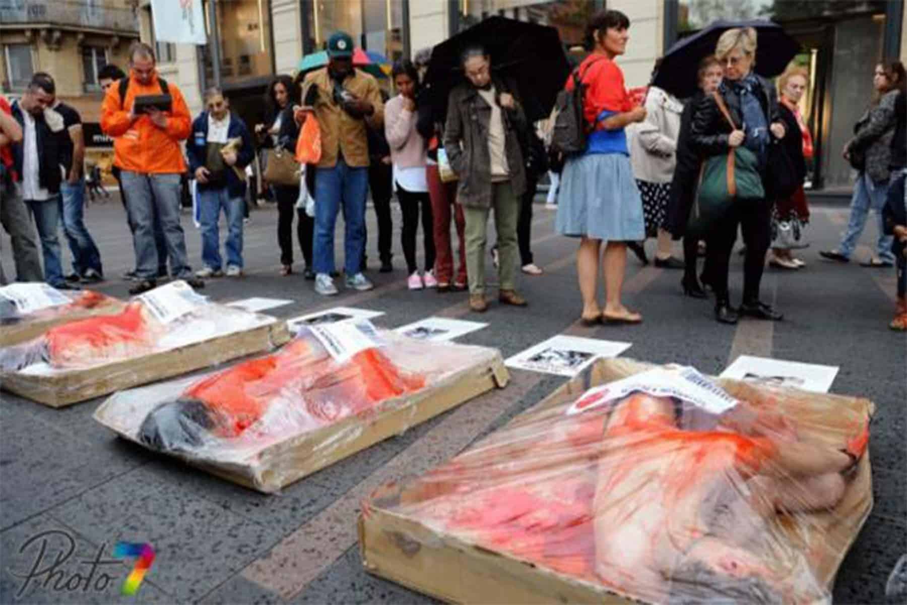نشطاء من أجل الرفق بالحيوان يتظاهرون في فرنسا بشكل مبتكر احتجاجًا على اللحوم المجمّدة متظاهرون للرفق بالحيوان watanserb.com