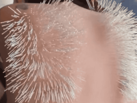 إقامة مصارعة الثيران watanserb.com