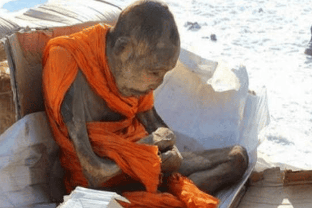 العثور على مومياء حية watanserb.com