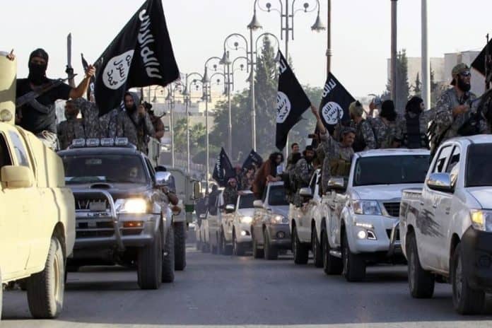 قتل معاذ الكساسبة حرقا watanserb.com