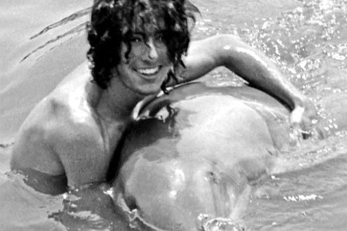 أميركي عشق الدولفين دوللي watanserb.com