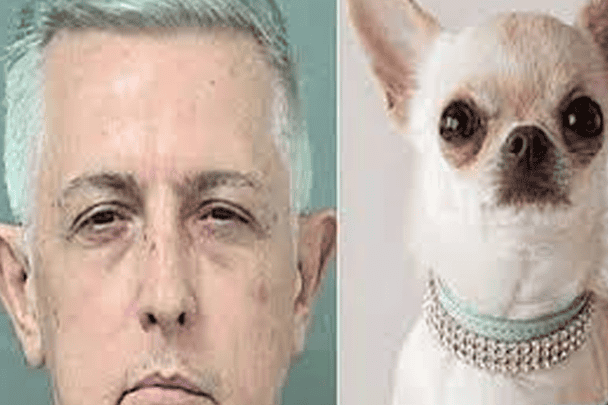 أمريكية تبلّغ عن زوجها لممارسته الجنس مع كلبتها زوج يمارس الجنس مع كلب watanserb.com