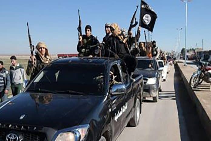 إربل وقيادي watanserb.com