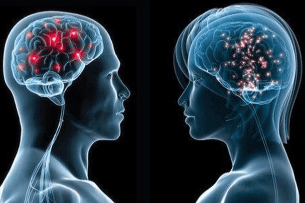 الرجل والذاكرة watanserb.com