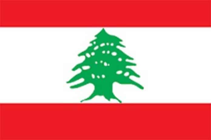 العائلات اللبنانية الشيعية watanserb.com