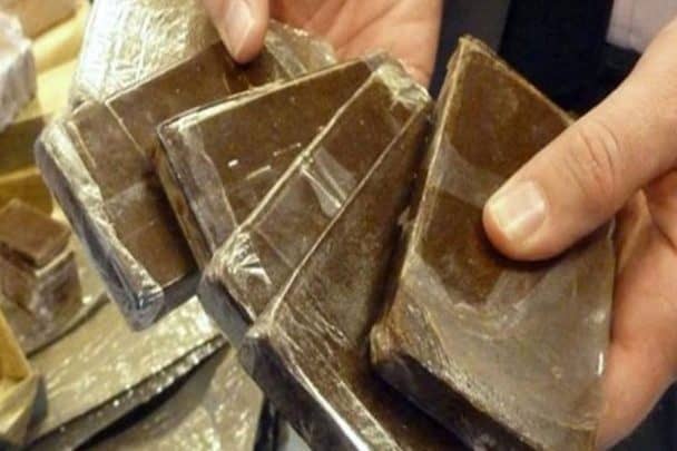 تقنين مخدر الحشيش watanserb.com