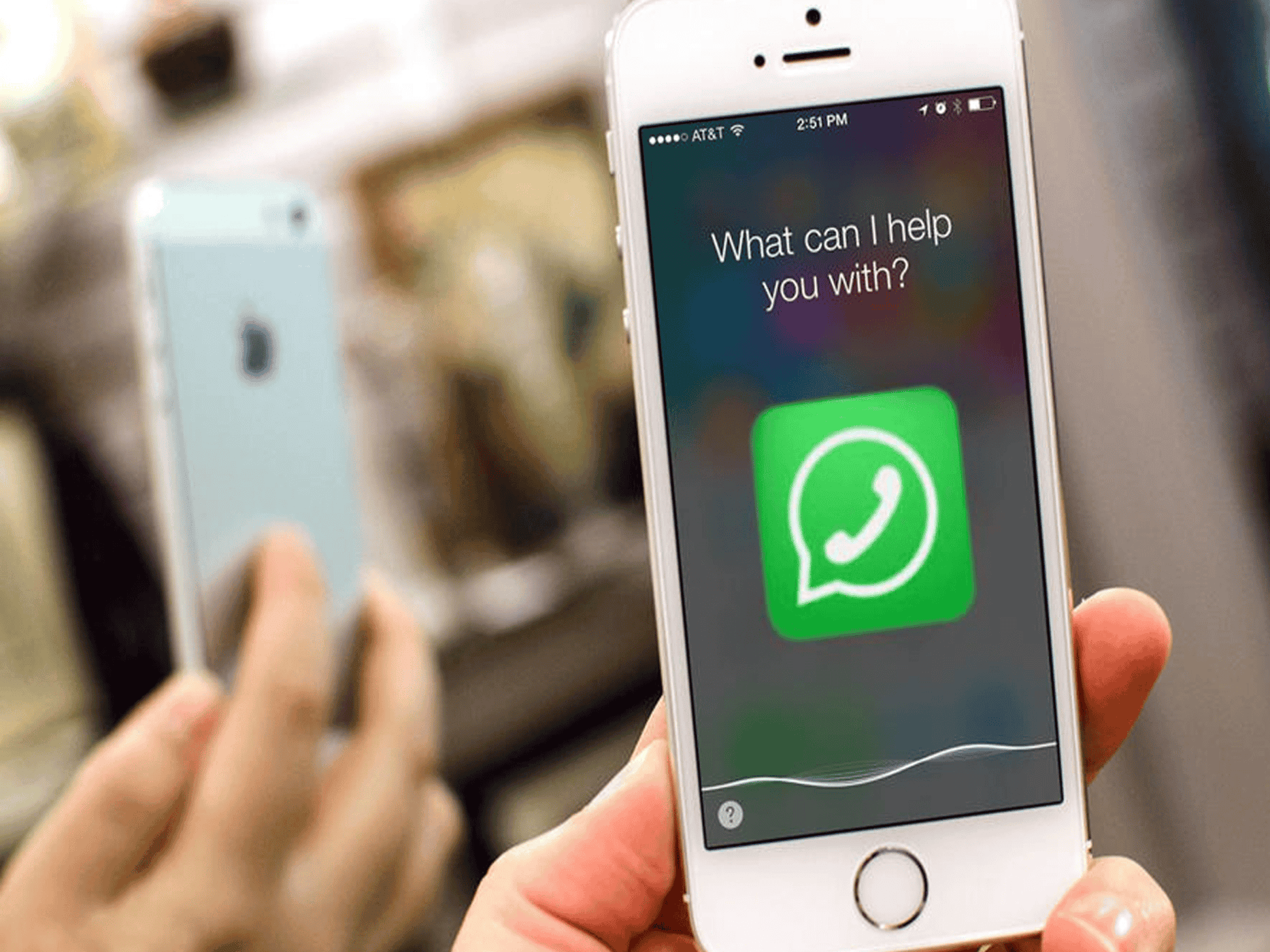 (أدمن) مجموعة (واتس آب) كاد يفقد حياته لهذا السبب .. أدمن واتس آب watanserb.com