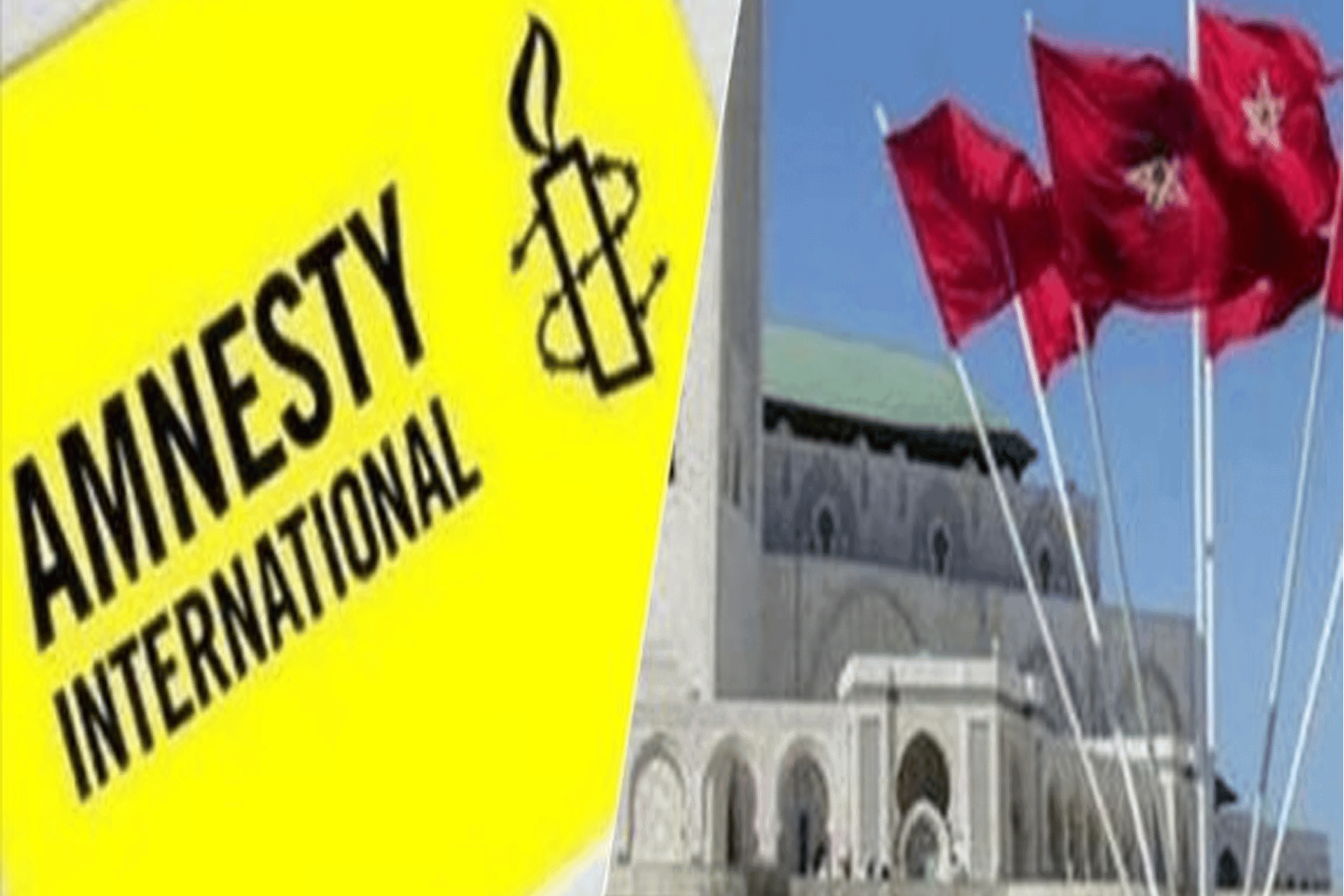 (المغرب) يطرد موظفيْن في (العفو الدولية) طرد موظفين من منظمة العفو watanserb.com