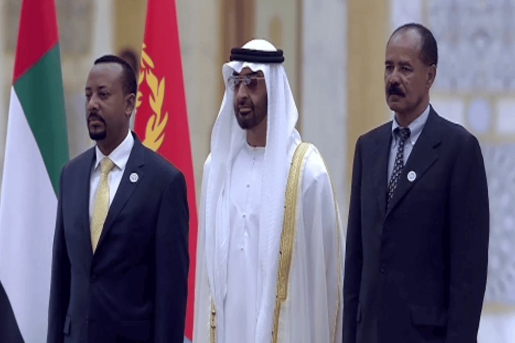 الإمارات تستعين بمرتزقة أريتريا watanserb.com