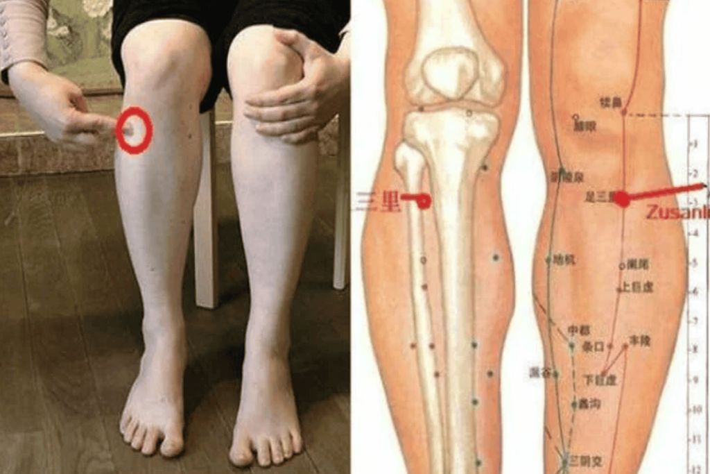 نقطة طول العمر watanserb.com