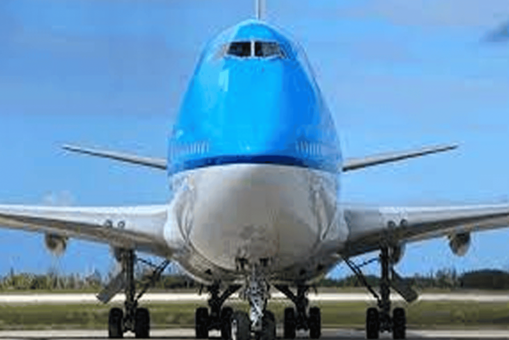 طائرة يوم القيامة watanserb.com