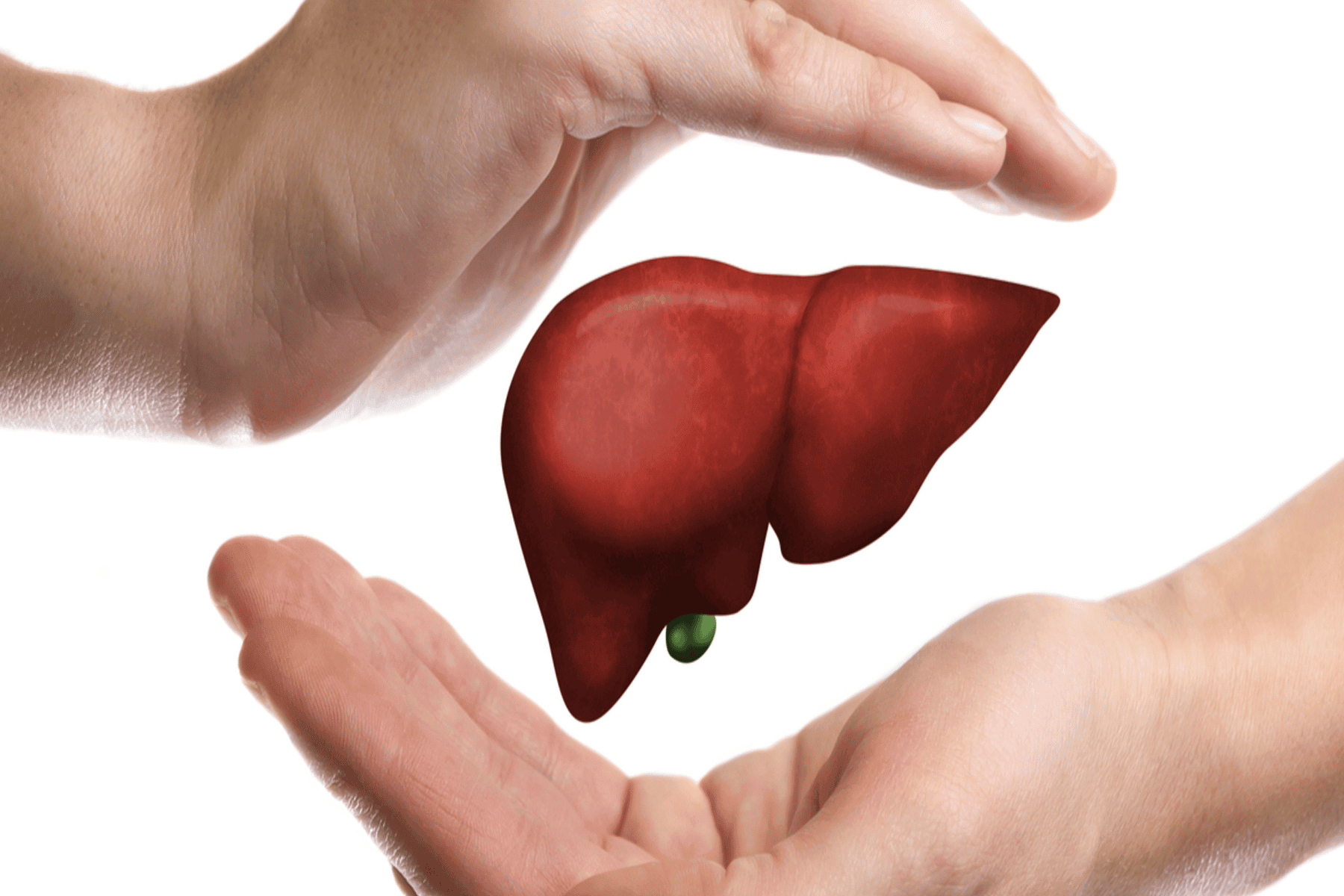 يعمل الكبد على تصنيع البروتينات التي تعزز تخثر الدم في حالة حدوث جرح أو إصابة. كما يزيل الكبد أيضًا العناصر الضارة مثل بقايا الأدوية وفضلات المنتجات