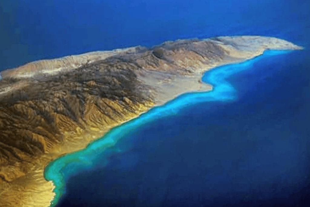 الأردن تبدأ المرحلة الأولى من مشروع ربط البحر الأحمر بالبحر الميت بتقنية جديدة مشروع ربط البحر الأحمر بالميت watanserb.com