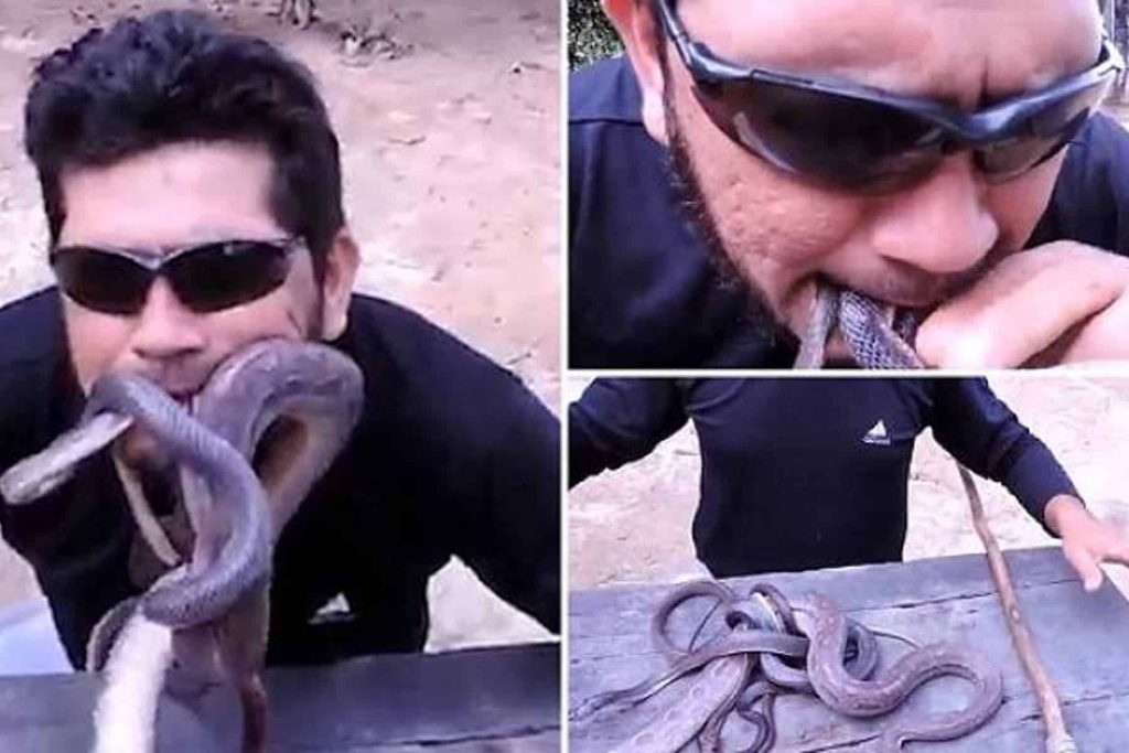 برازيلي يضع ثعابين داخل فمه watanserb.com