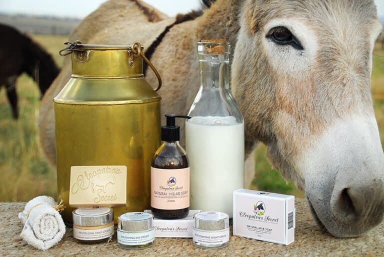 تزايد الإقبال على حليب الحمير في تركيا بسبب فوائده الصحية المذهلة وأثره الشفائي حليب الحمير watanserb.com