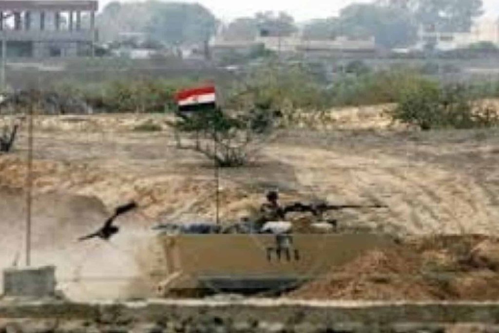 الجيش المصري يطلق مبادرة لزراعة 2.5 مليون شجرة زيتون في سيناء بعد عمليات التجريف والهدم سيناء watanserb.com