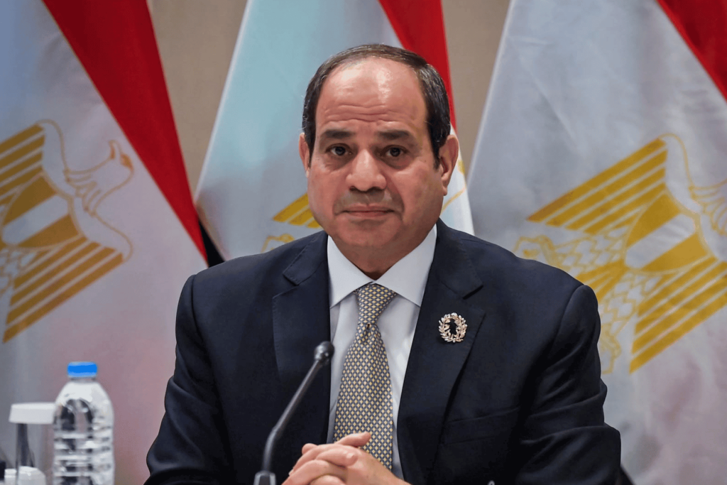 السيسي والصحفيين watanserb.com