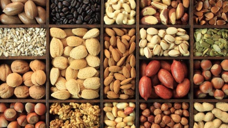 فوائد المكسرات لصائم رمضان وأثرها الإيجابي على الصحة والطاقة خلال الشهر الفضيل المكسرات watanserb.com