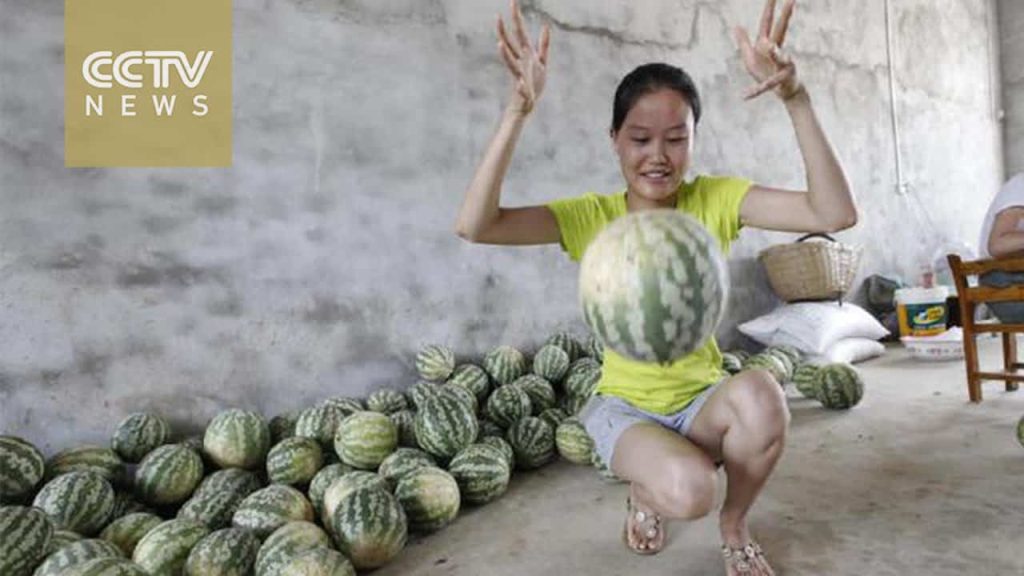 بطيخ غير قابل للكسر