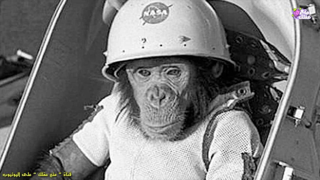 خمسة حيوانات قدمت العلم والمعرفة للإنسان