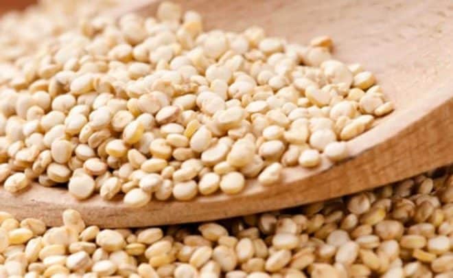 حبوب الكينوا watanserb.com