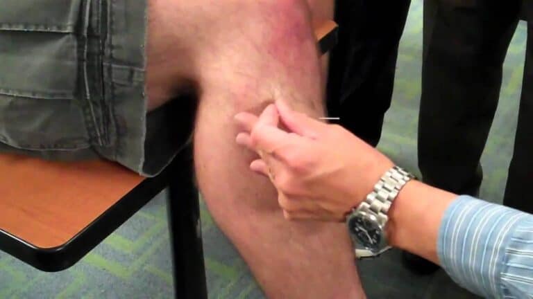 ST36 وGB34 watanserb.com