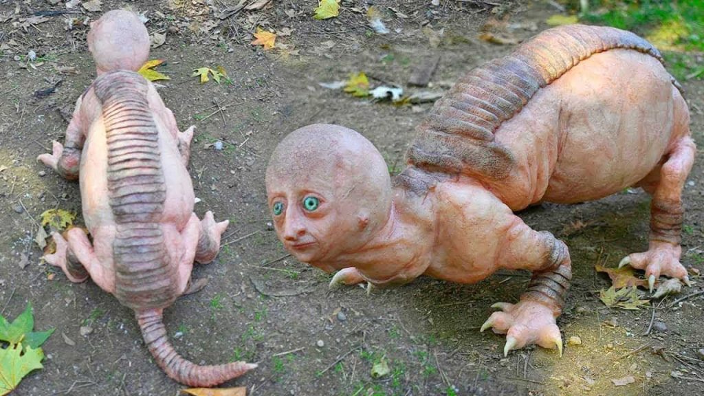 مخلوقات غريبة وحوادث عجيبة