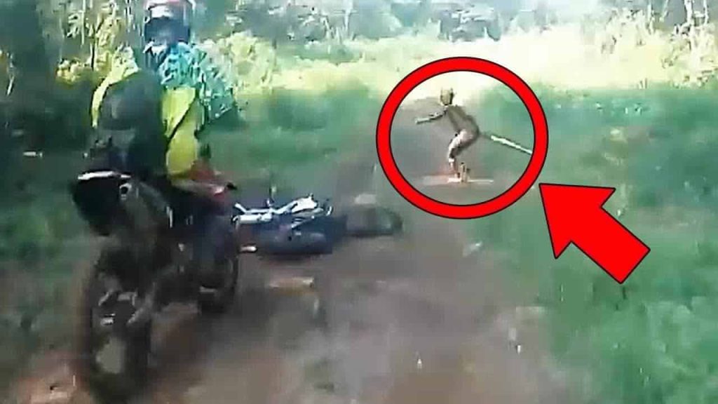 مخلوقات غريبة ظهرت في غابات أندونسيا