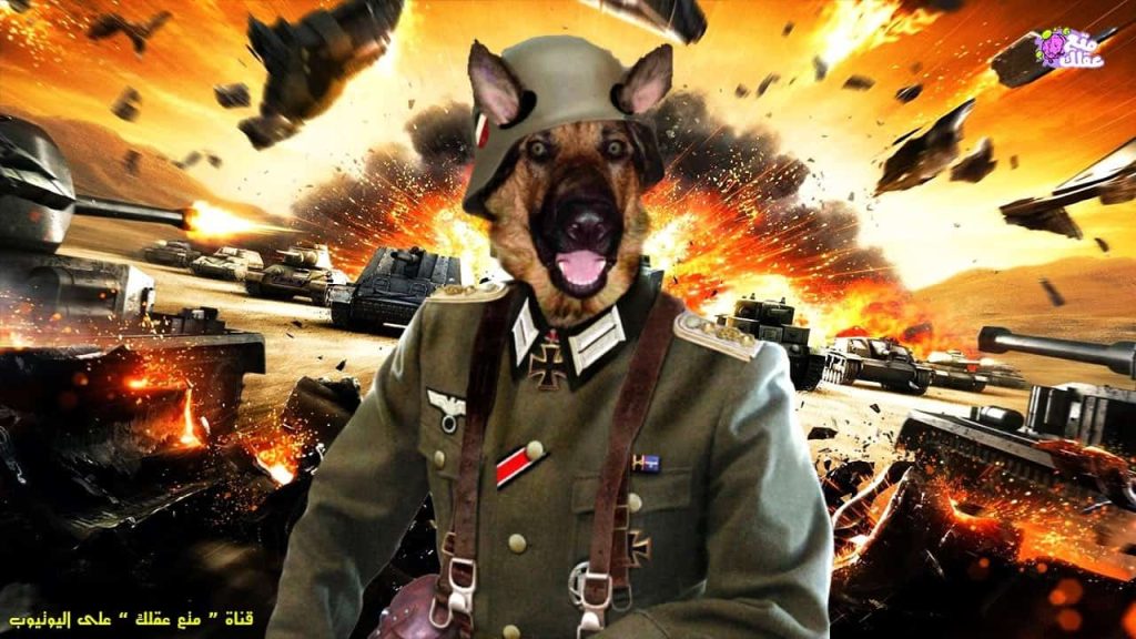 أسباب تافهة ومواقف غريبة: الحروب العشر الأكثر سخرية في التاريخ البشري أغبى 10 حروب في التاريخ