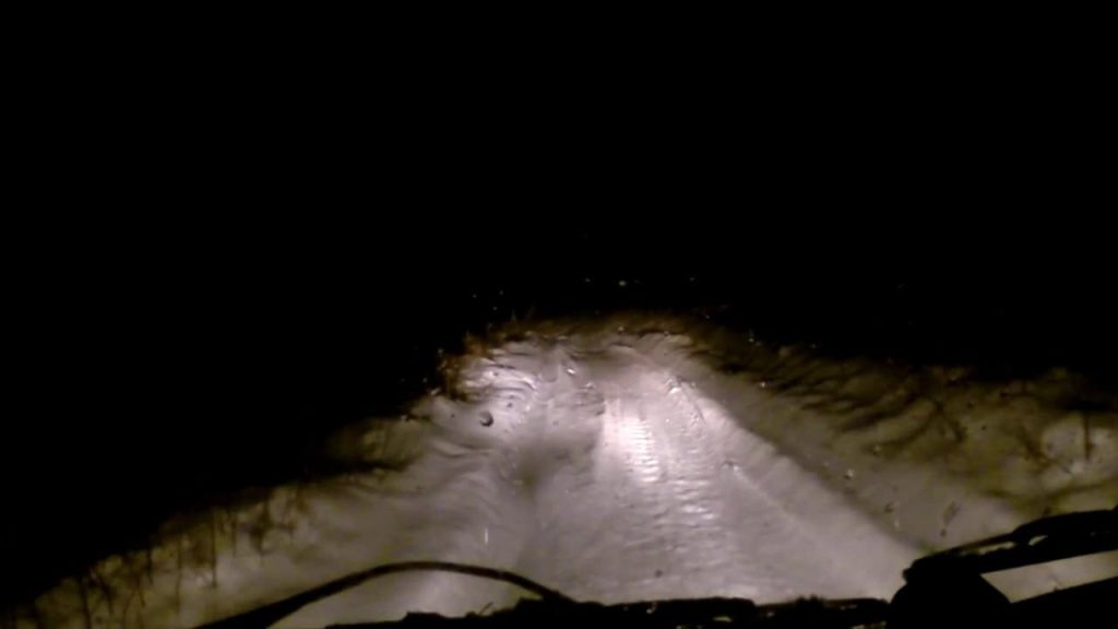 حيوان مخيف يظهر في روسيا يثير رعب السياح!