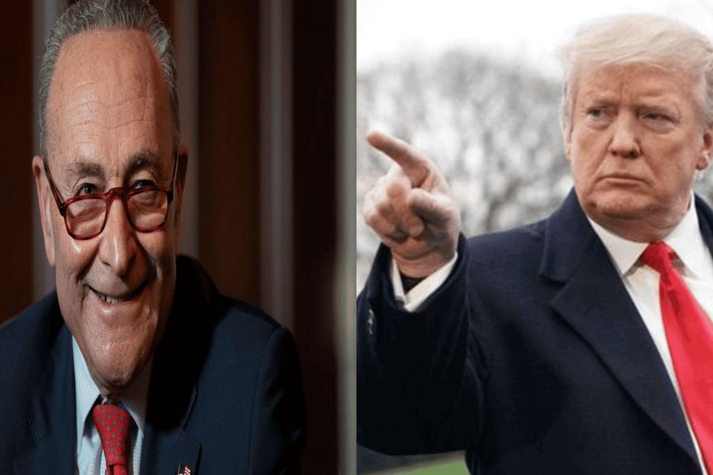 ترامب و تشاك شومر watanserb.com