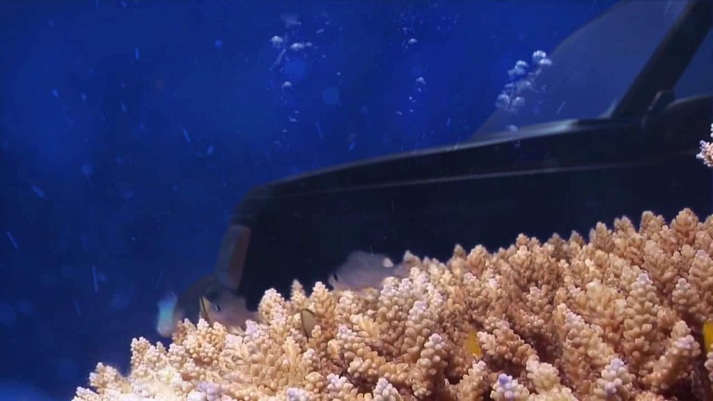 مقطع فيديو يسجل 4.5 مليون مشاهدة لبيع سيارة قديمة بأسلوب مبتكر وجذاب "4.5" مليون شخص شاهدوا هذا المقطع