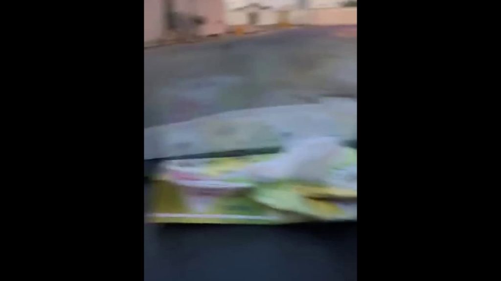 تجول في المدينة على مدار “5” أيام.. ذئب شارد يثير الرعب في الجوف السعودية | القصة الكاملة ذئب شارد يثير الرعب في الجوف السعودية