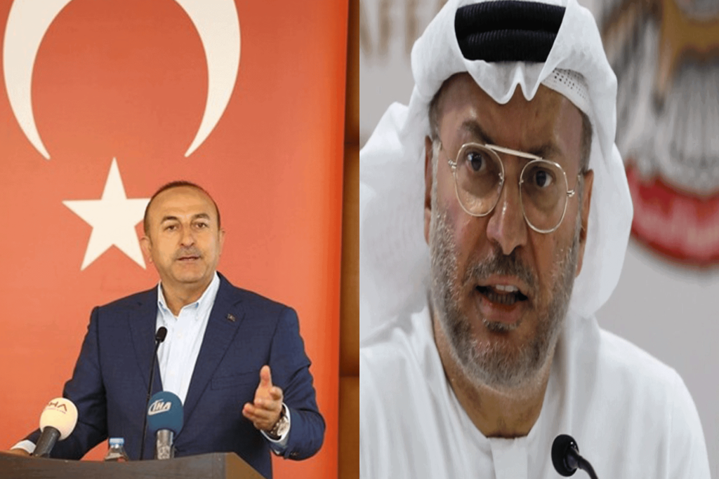 وزير الخارجية التركي وأنور قرقاش watanserb.com