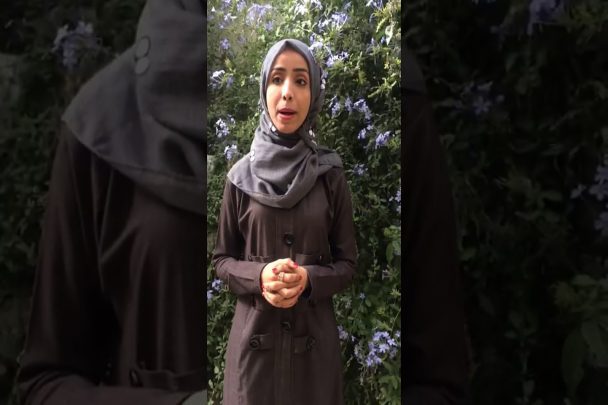 إعلامية يمنية تزعم أسلحة