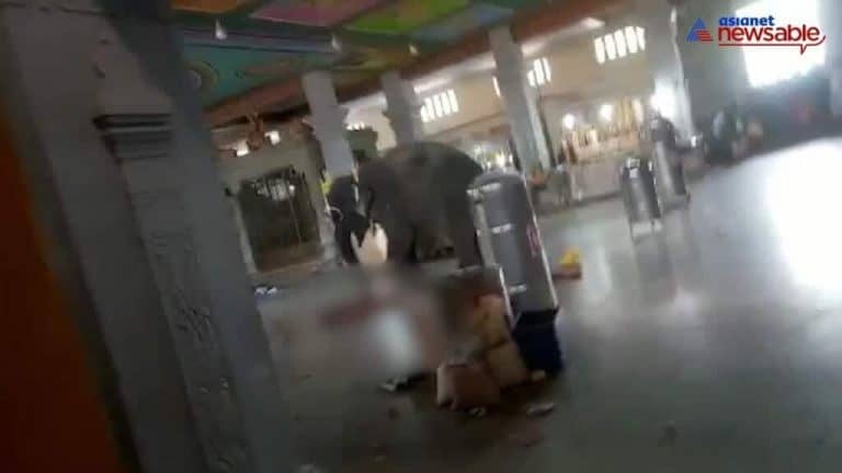 فيل ضخم يدوس رجلاً حتّى الموت watanserb.com