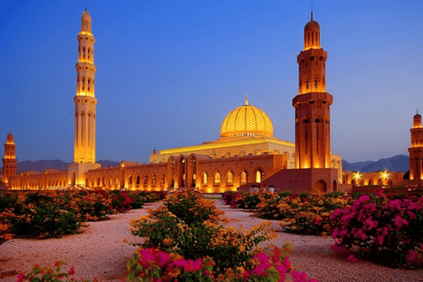 الداعية محمد العوضي watanserb.com