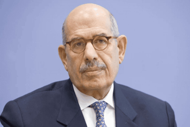 البرادعي و اردوغان watanserb.com