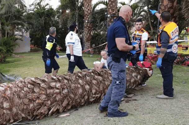 شجرة نخيل تسقط على عاملين أردنييْن في “إيلات” وتقتلهما! | القصة الكاملة سقوط شجرة نخيل watanserb.com