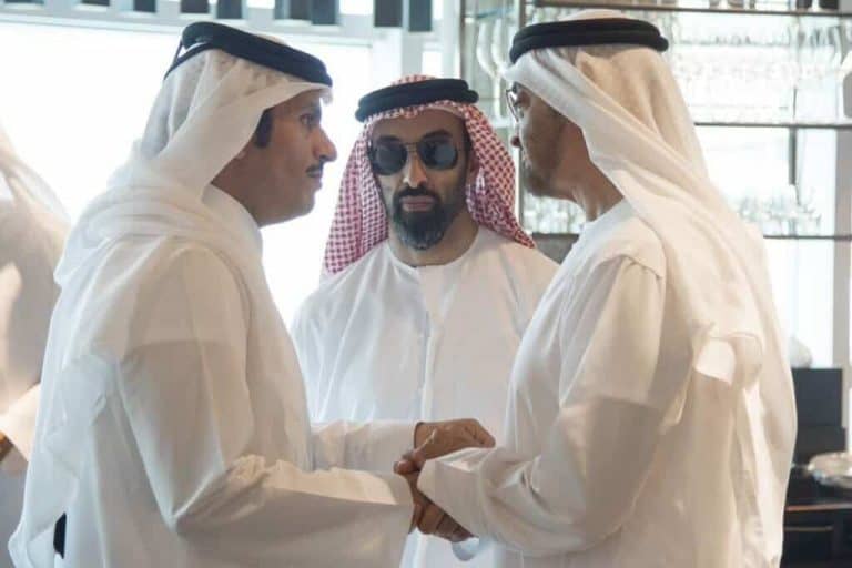 طحنون بن زايد watanserb.com