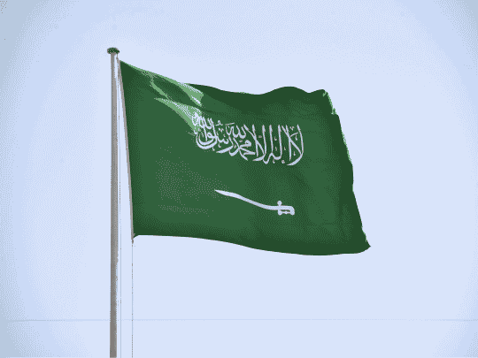 فضح امير سعودي watanserb.com