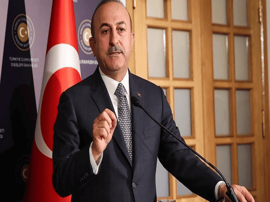 وزير تركي و نائبة فرنسية watanserb.com