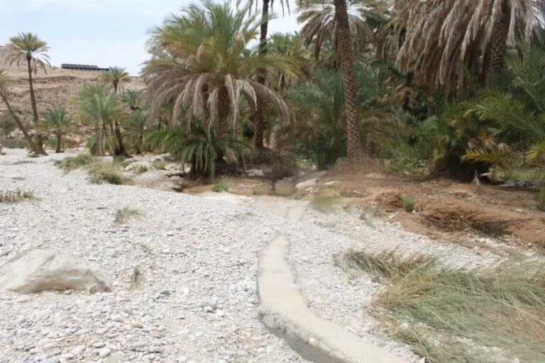 منخفض الغفران watanserb.com