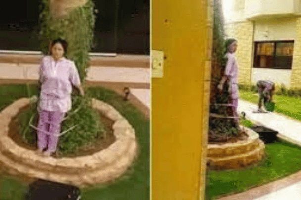 سعوديون يقيدون خادمة فلبينية في شجرة بسبب قطعة أثاث ويفجرون موجة غضب واسعة خادمة شجرة السعودية watanserb.com