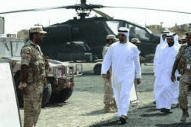 ابن زايد ليبيا watanserb.com