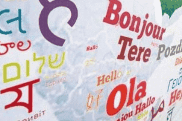 شالوم في المدينة المنورة watanserb.com