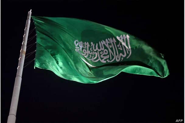 سلطة المملكة السعودية watanserb.com