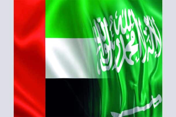 دولتي الامارات والسعودية watanserb.com