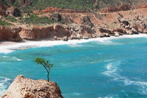 منخفض مداري في بحر العرب وسلطنة عمان تصدر تقرير عنه | القصة الكاملة منخفض مداري في بحر العرب watanserb.com