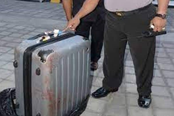 ذبح عارضة أزياء watanserb.com